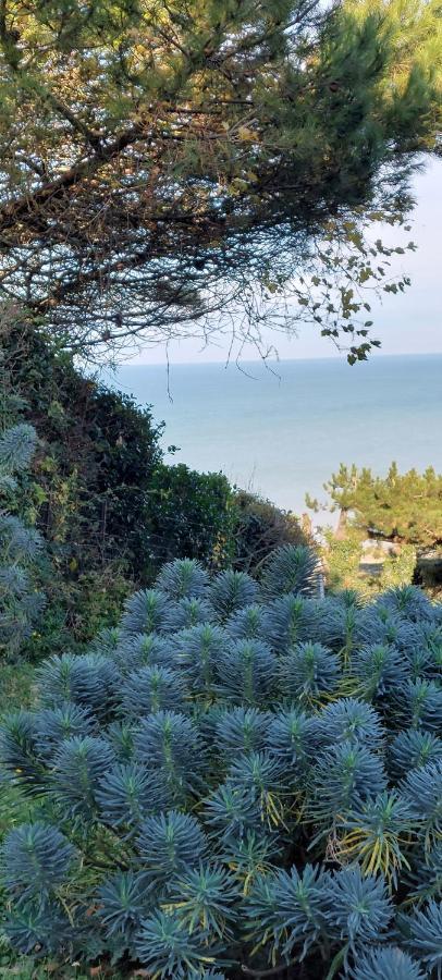 Le Bois de CiseLe Cise Eau A Bois公寓 外观 照片